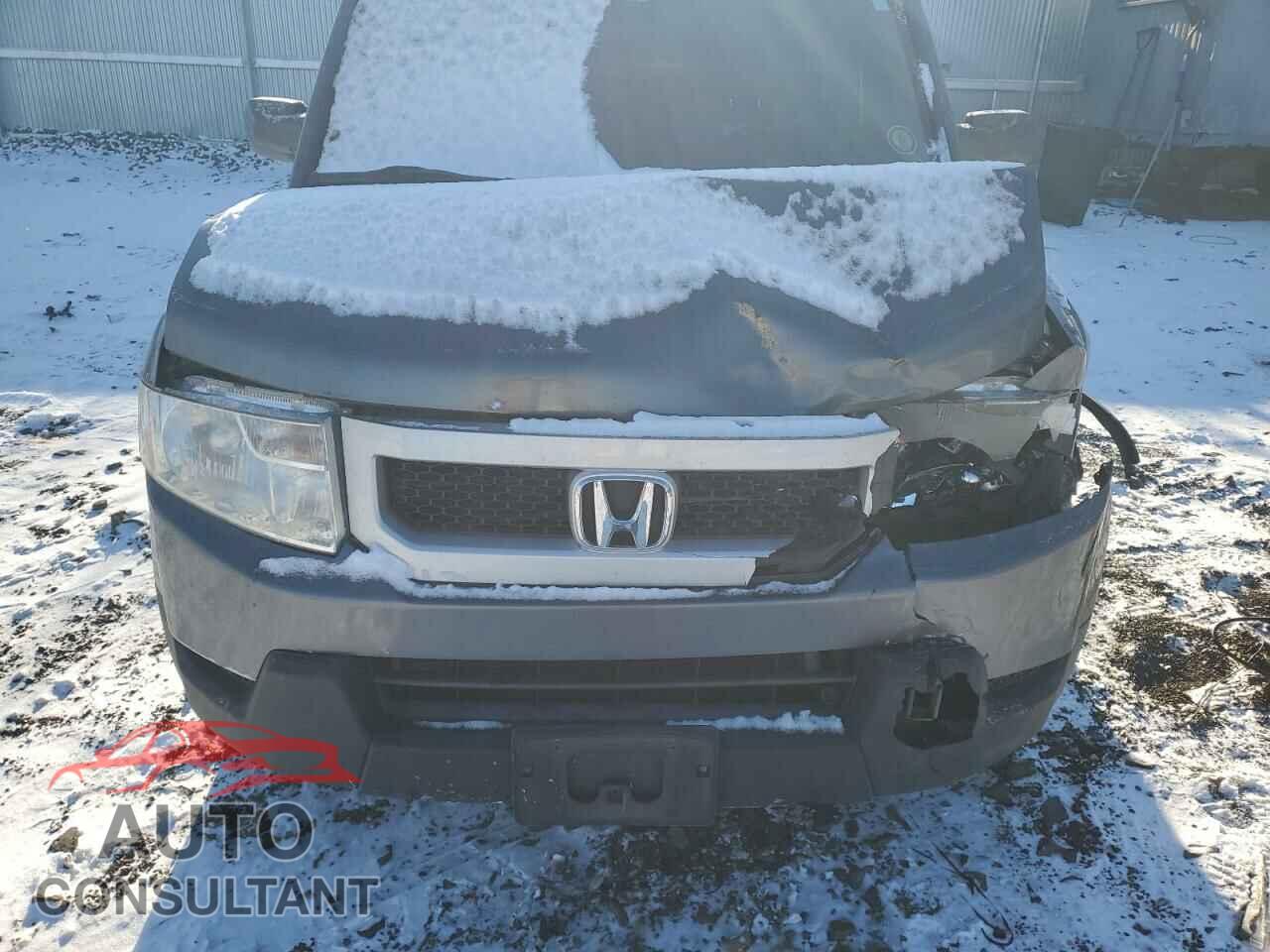 HONDA ELEMENT 2010 - 5J6YH2H77AL002203