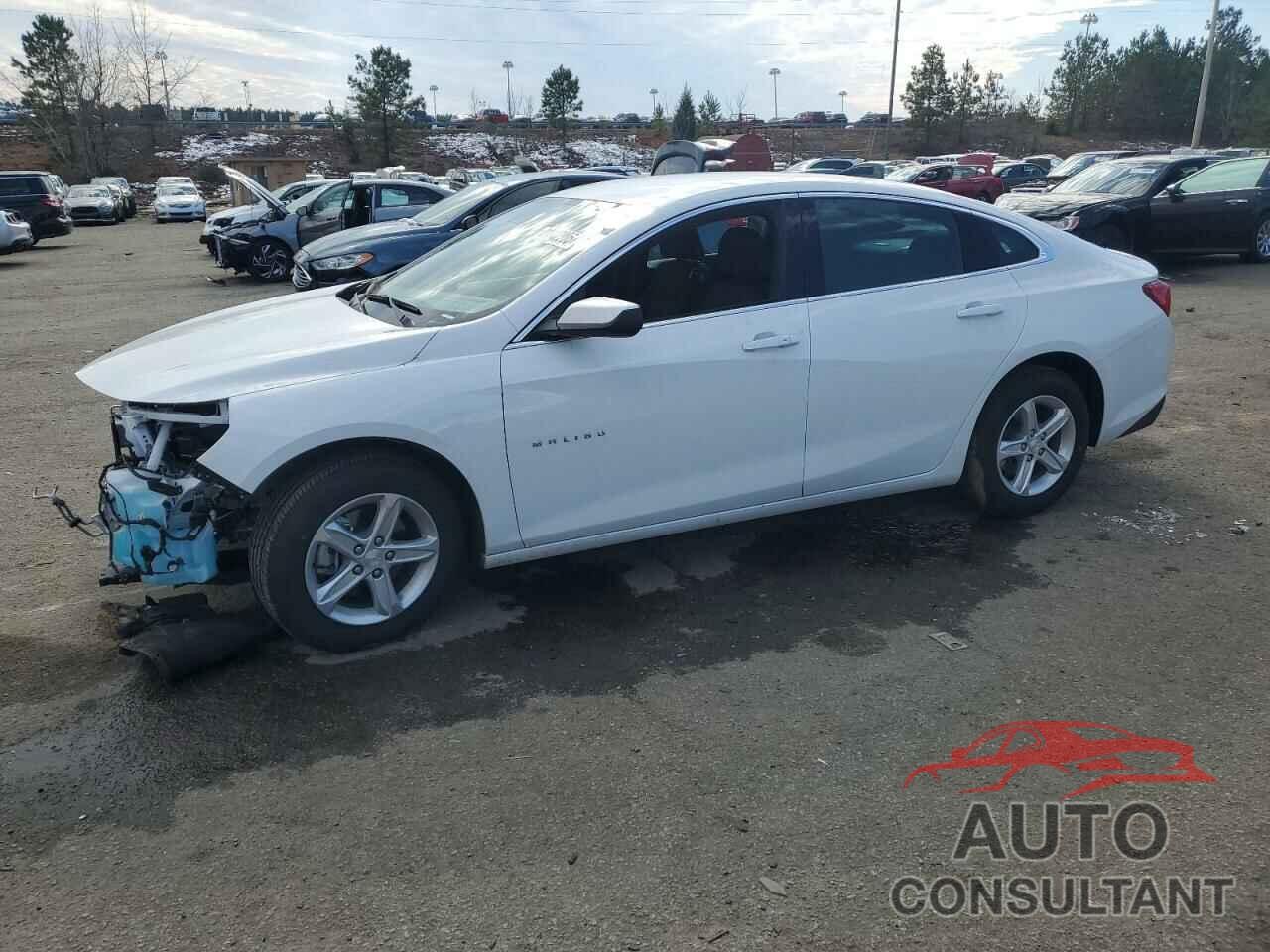 CHEVROLET MALIBU 2024 - 1G1ZC5ST7RF226350