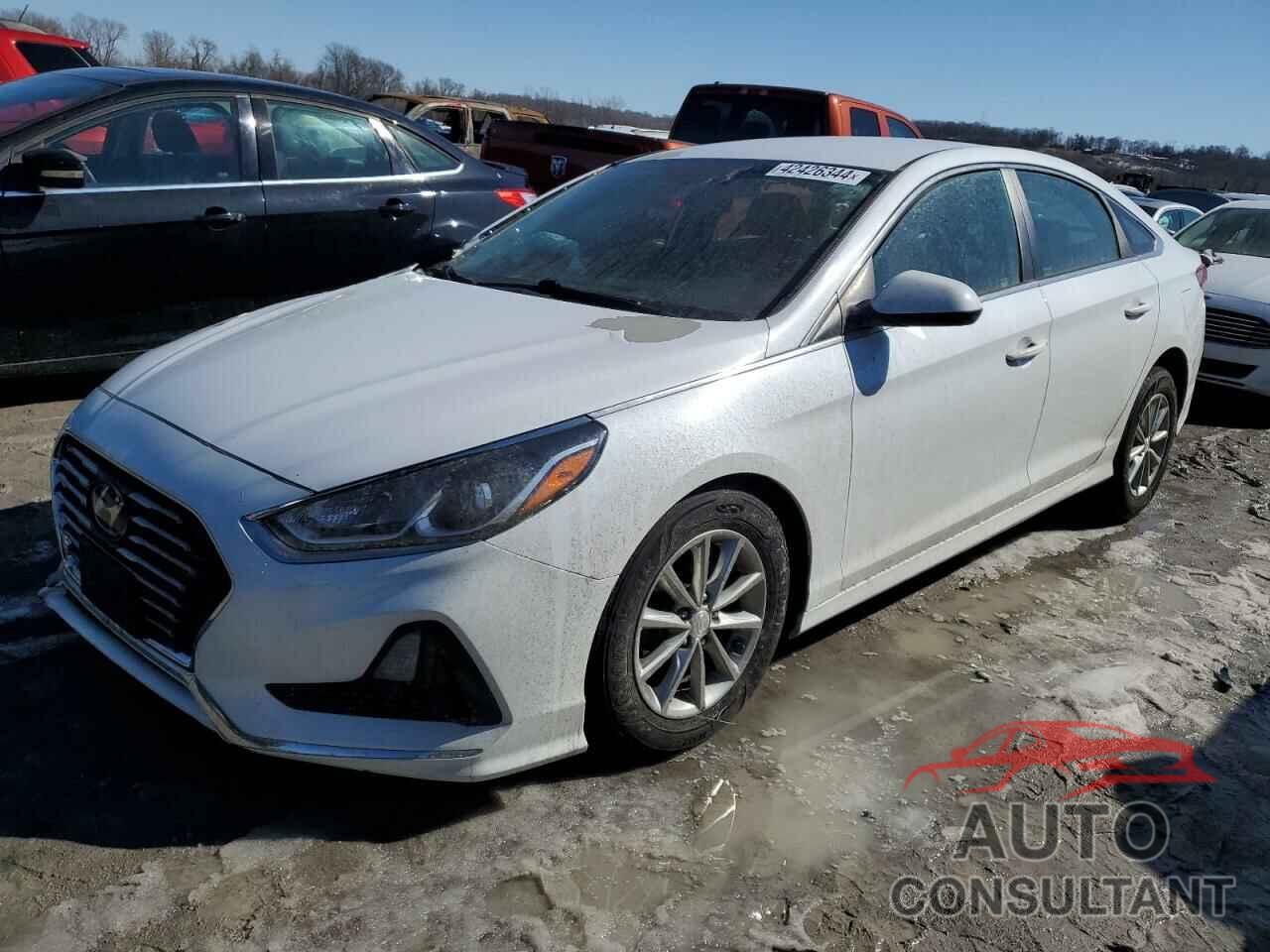 HYUNDAI SONATA 2019 - 5NPE24AF1KH738261