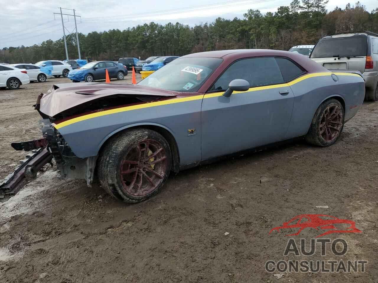 DODGE CHALLENGER 2019 - 2C3CDZFJ3KH581485