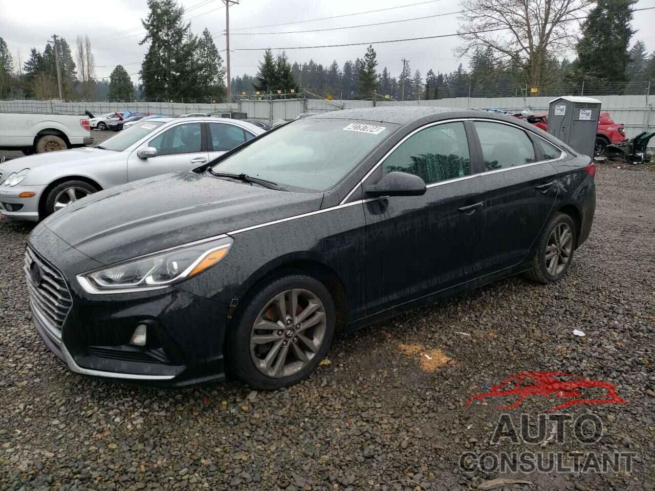 HYUNDAI SONATA 2019 - 5NPE24AF9KH741036