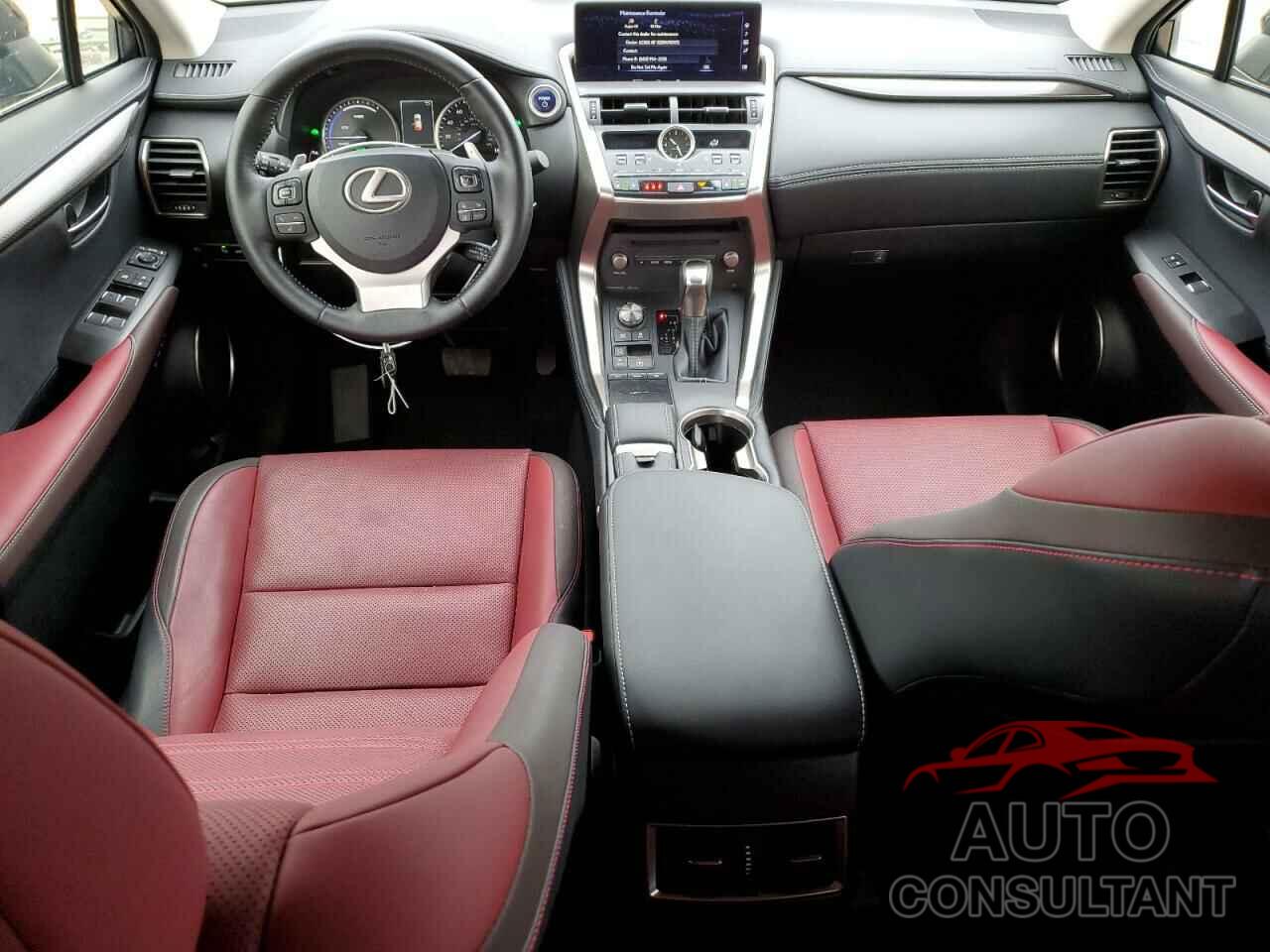 LEXUS NX 2019 - JTJBJRBZ6K2109394