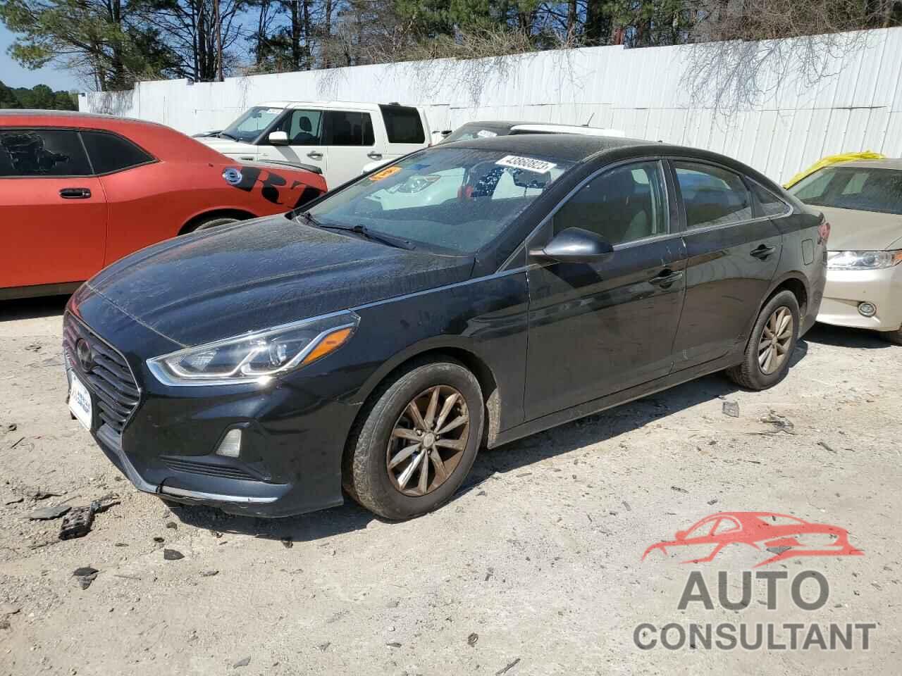 HYUNDAI SONATA 2018 - 5NPE24AF4JH699034