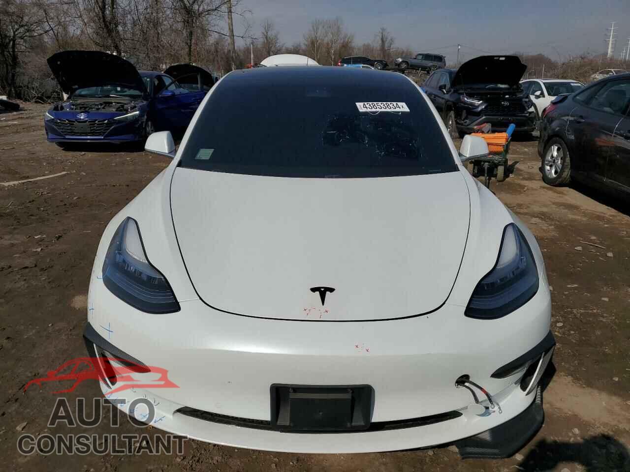 TESLA MODEL 3 2019 - 5YJ3E1EA8KF483456