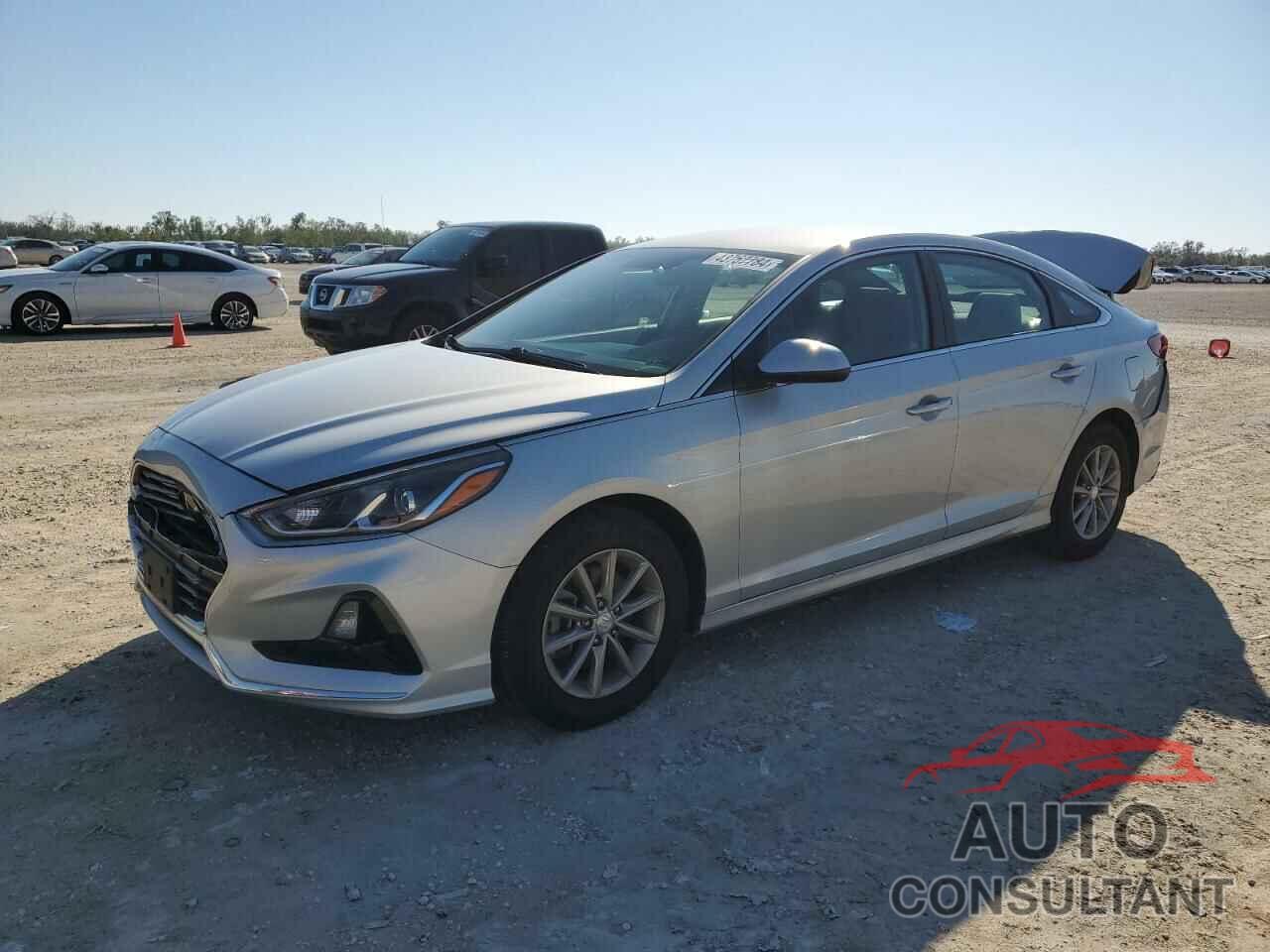 HYUNDAI SONATA 2019 - 5NPE24AF5KH762465