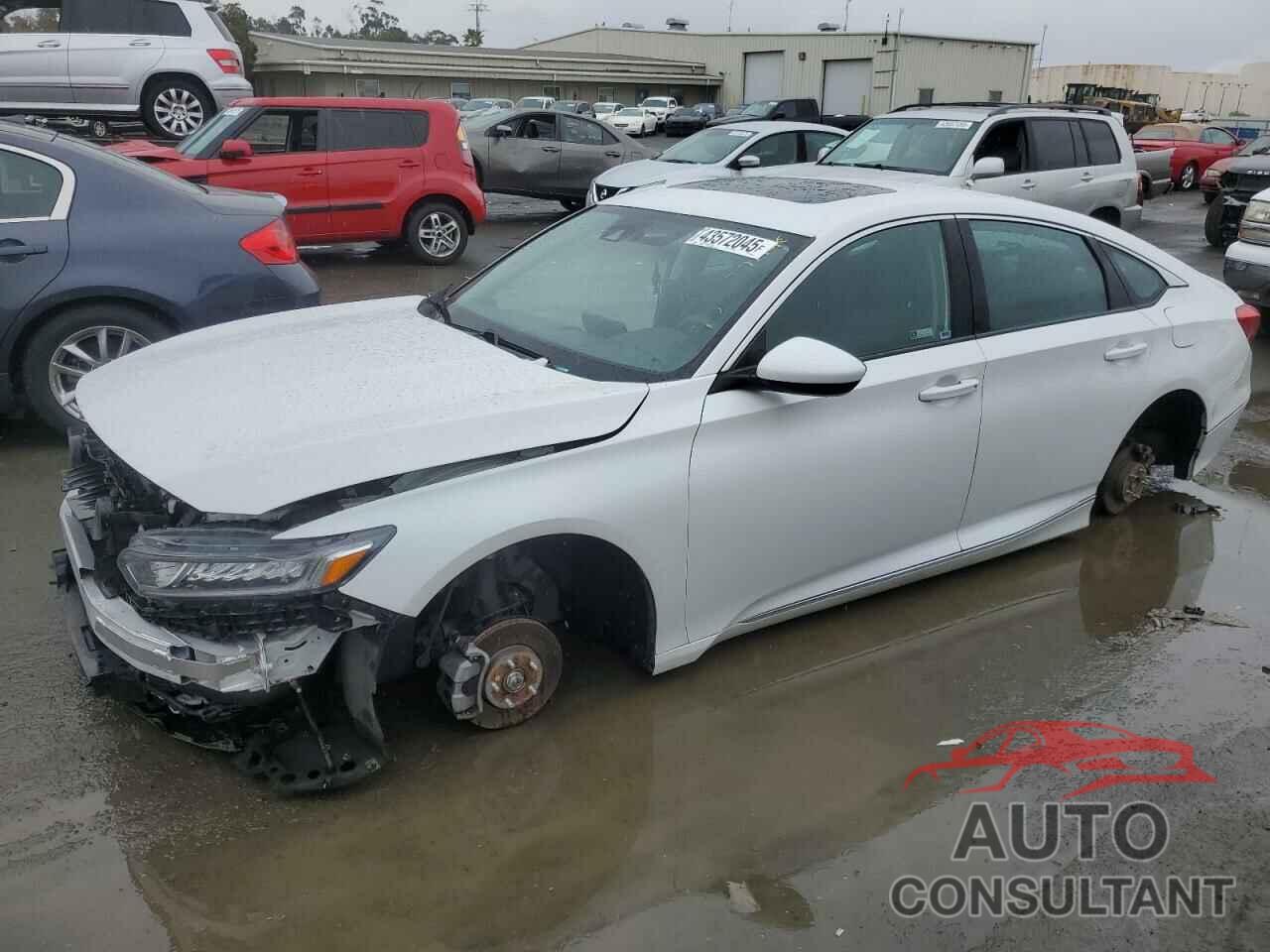 HONDA ACCORD 2019 - 1HGCV1F43KA086708