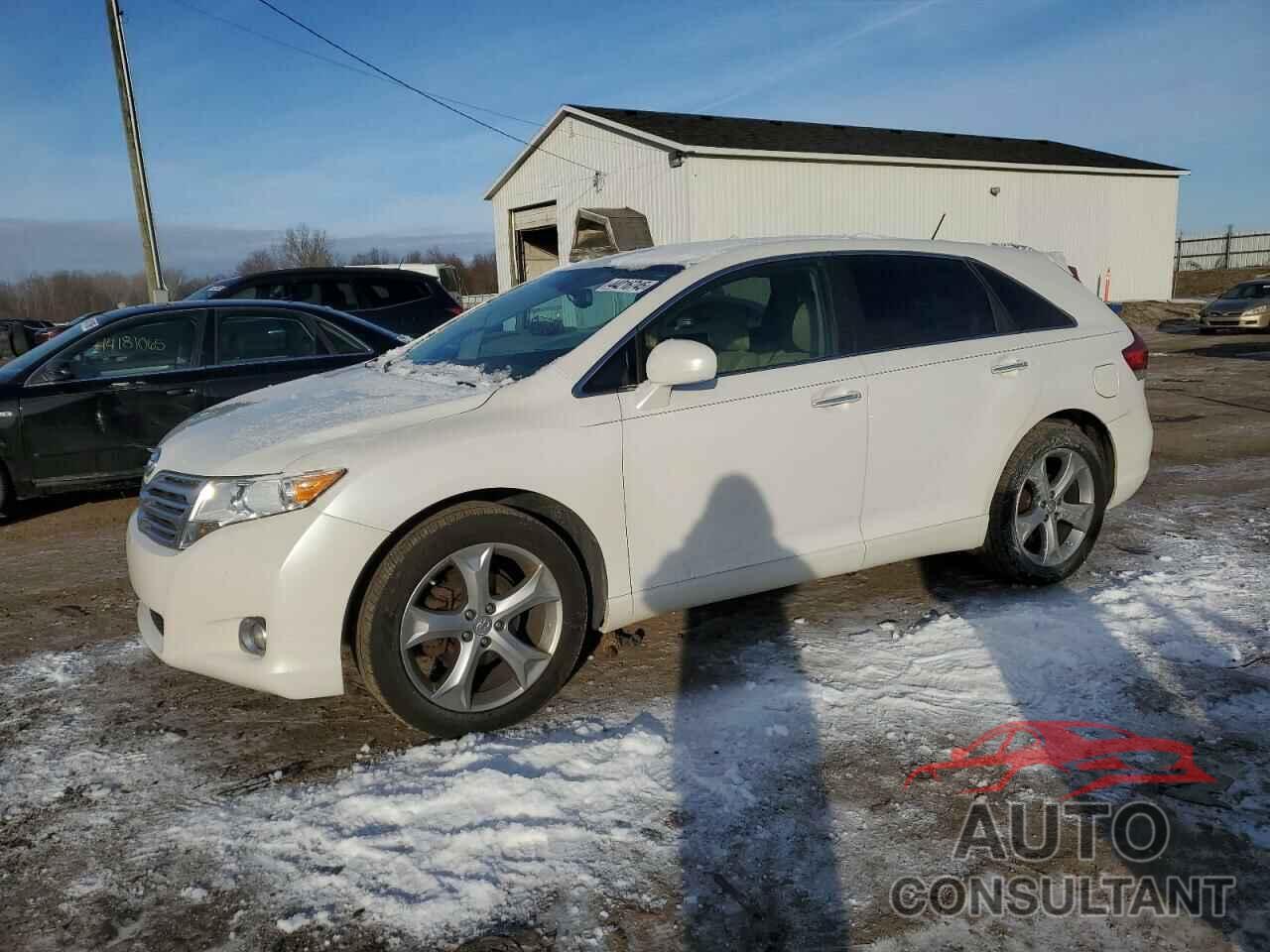 TOYOTA VENZA 2009 - 4T3BK11A19U020640
