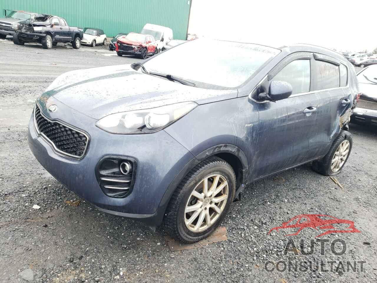 KIA SPORTAGE 2019 - KNDPMCAC6K7524762