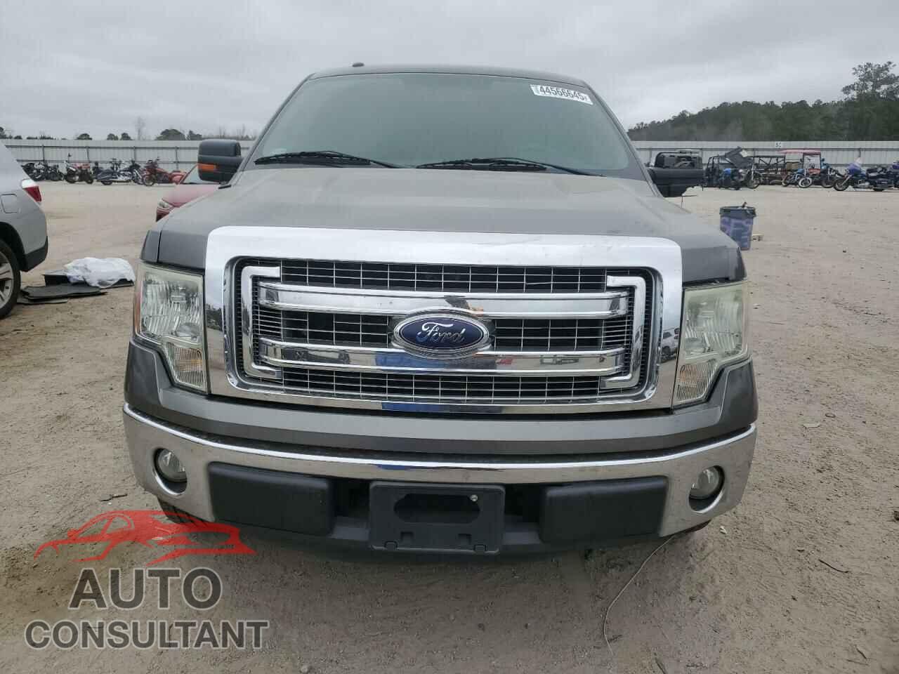 FORD F-150 2013 - 1FTEW1CM8DKE33245