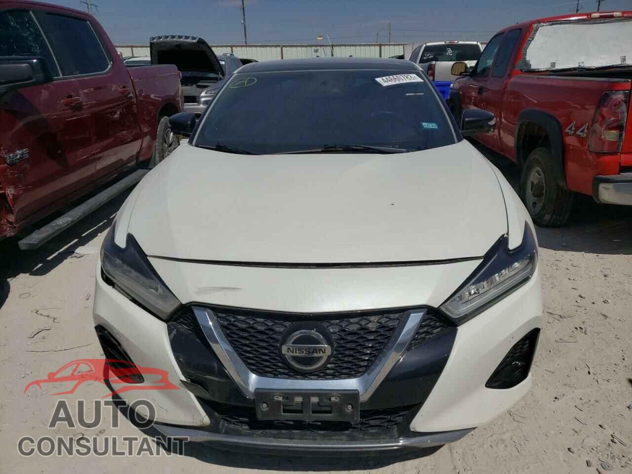 NISSAN MAXIMA 2019 - 1N4AA6AV2KC381758
