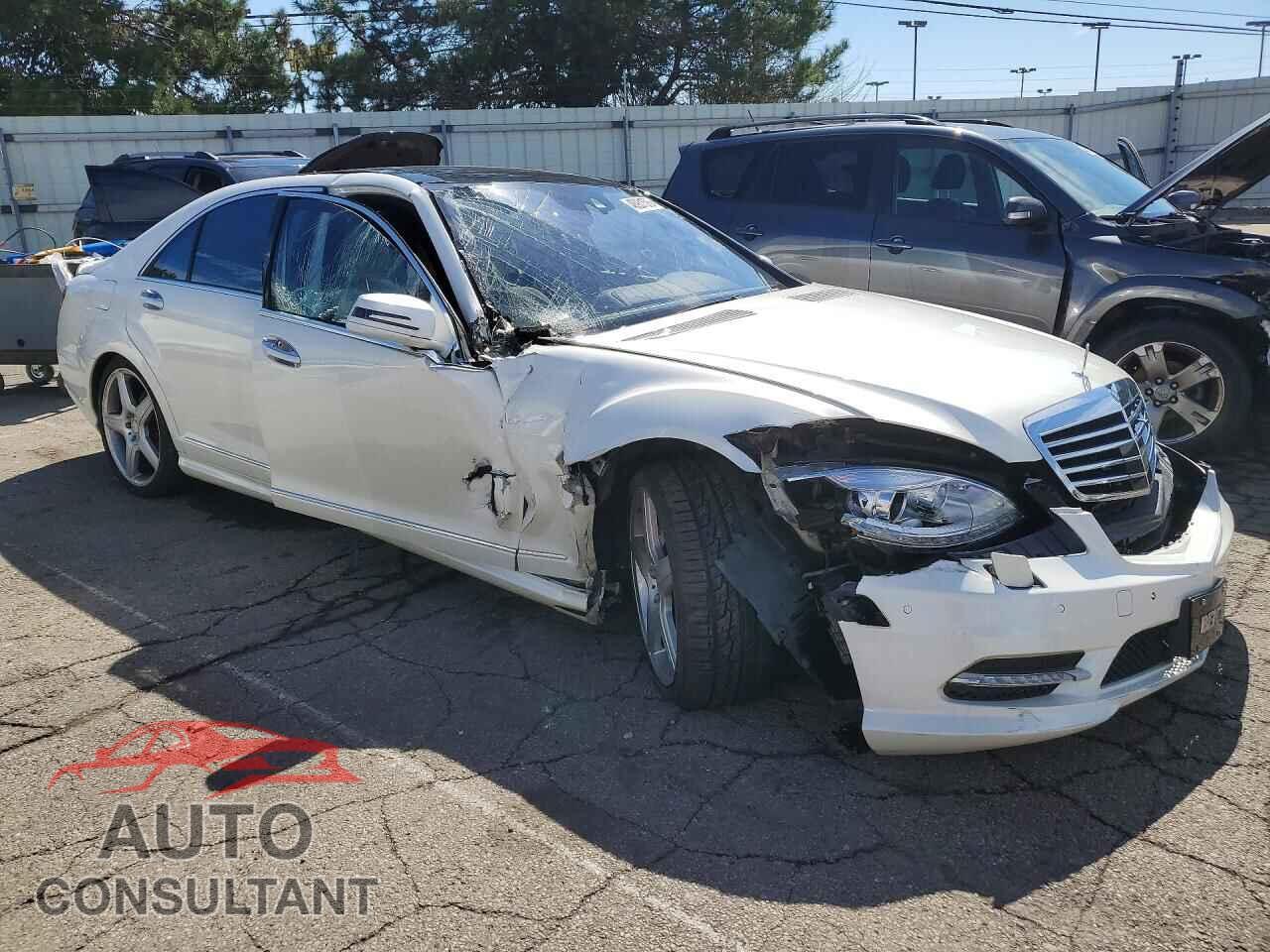 MERCEDES-BENZ S-CLASS 2013 - WDDNG9EB2DA516396