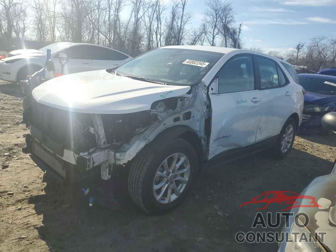 CHEVROLET EQUINOX 2020 - 3GNAXHEV3LS698028