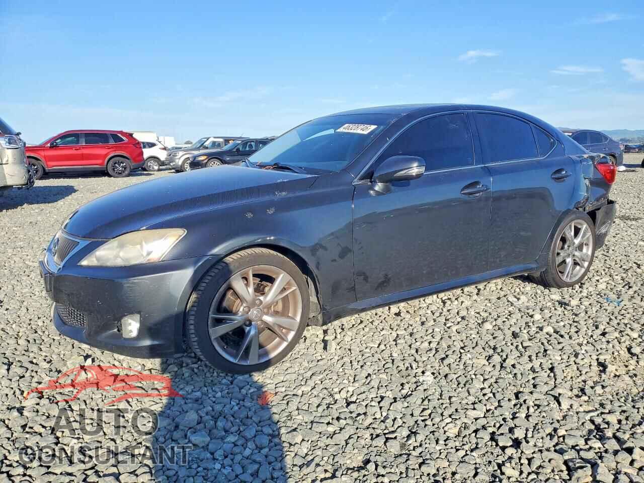 LEXUS IS 2009 - JTHBK262292085656