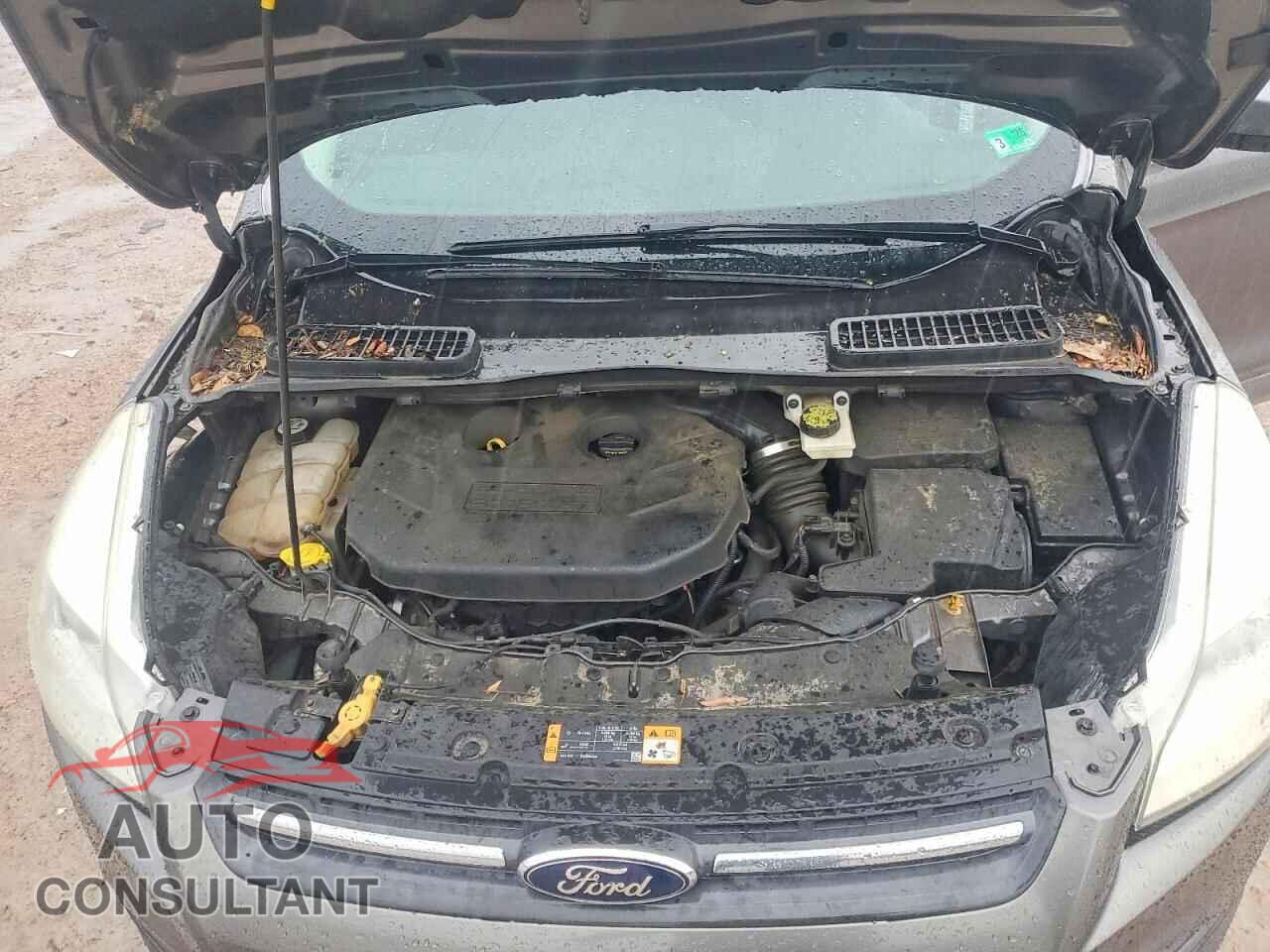 FORD ESCAPE 2013 - 1FMCU0G92DUB46027
