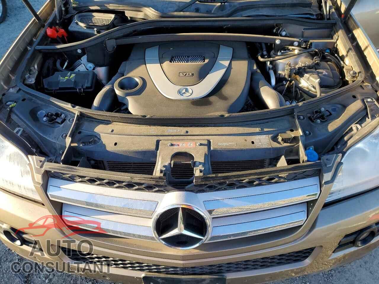 MERCEDES-BENZ GL-CLASS 2009 - 4JGBF71E29A463545