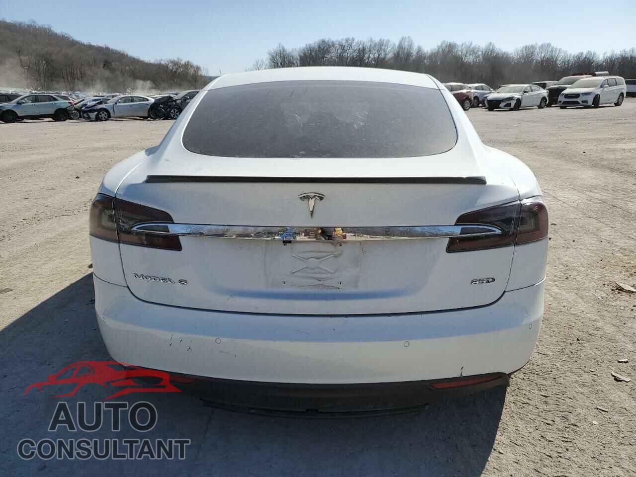 TESLA MODEL S 2015 - 5YJSA1H29FF096724
