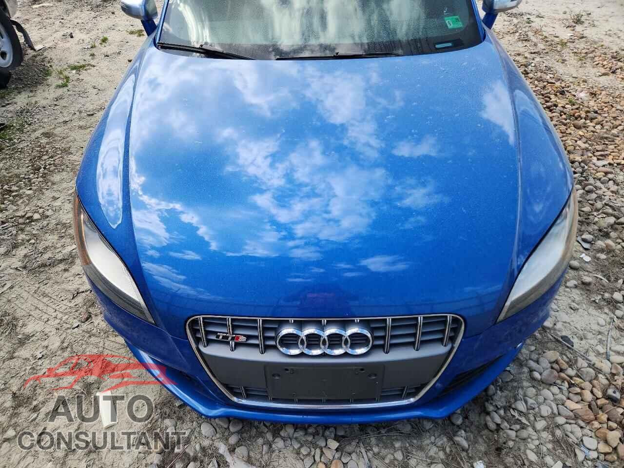 AUDI TTS 2010 - TRU41AFK8A1017482