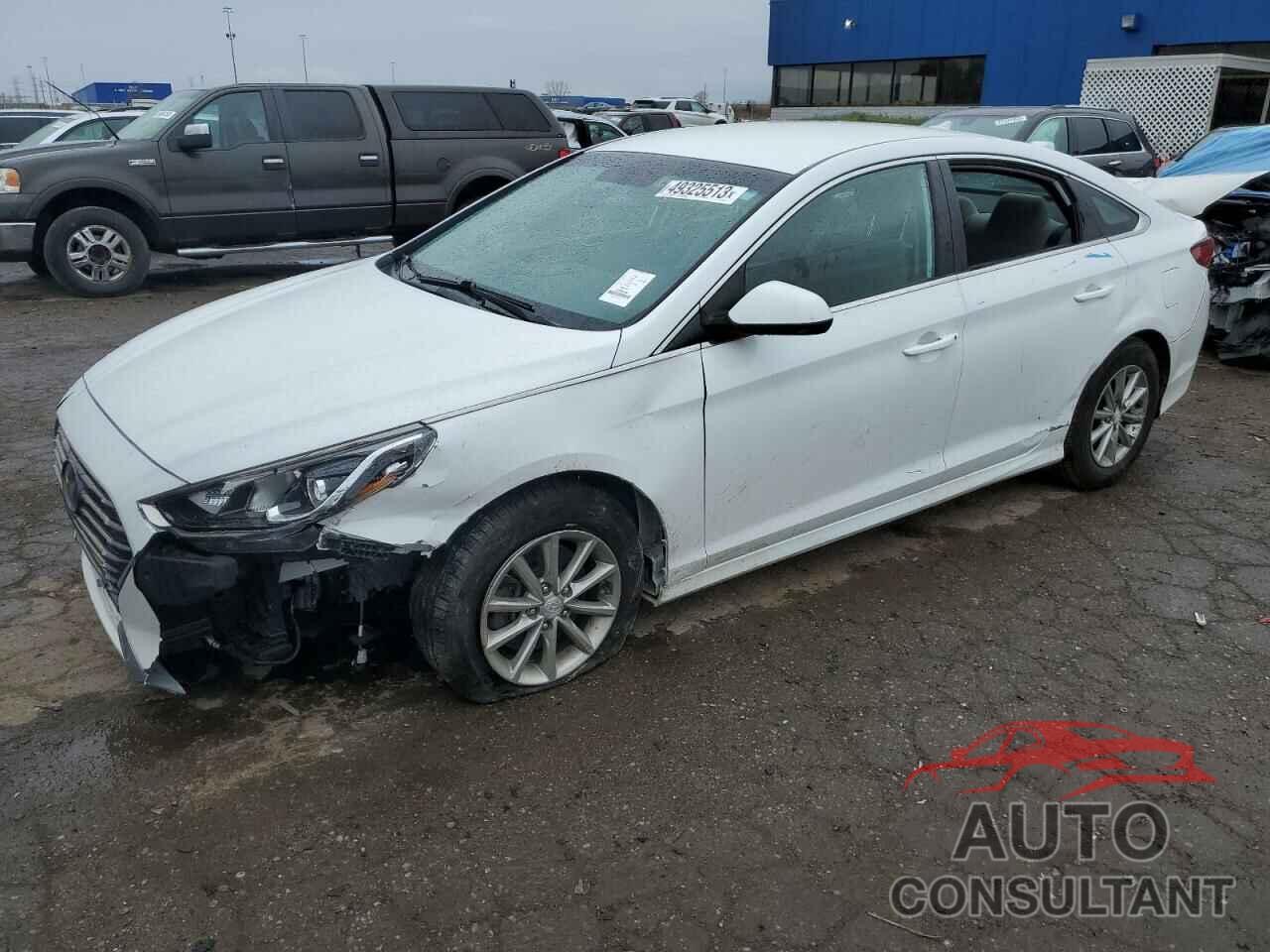 HYUNDAI SONATA 2019 - 5NPE24AF9KH746687