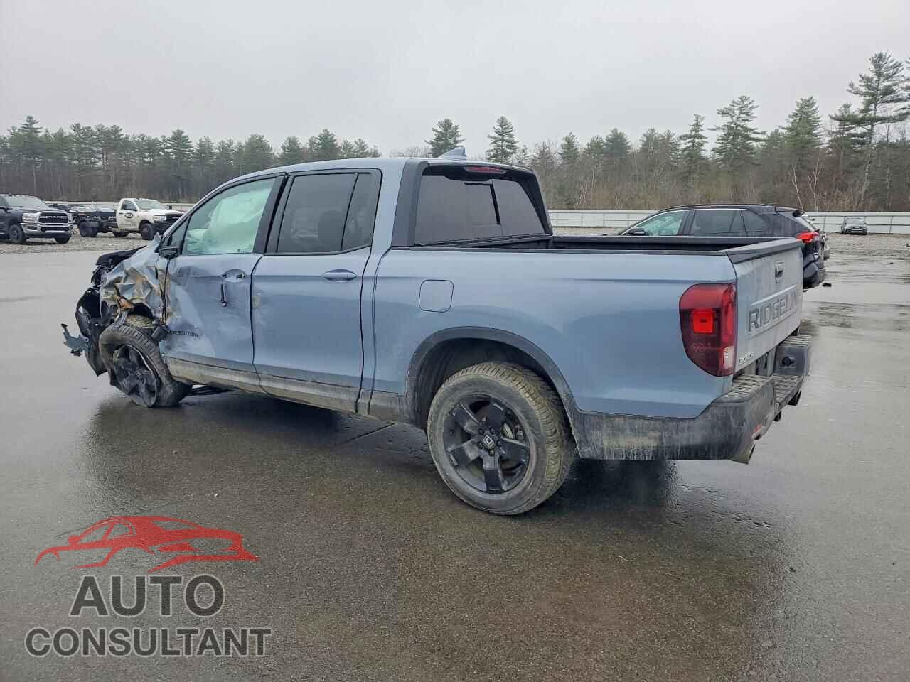 HONDA RIDGELINE 2024 - 5FPYK3F89RB025240