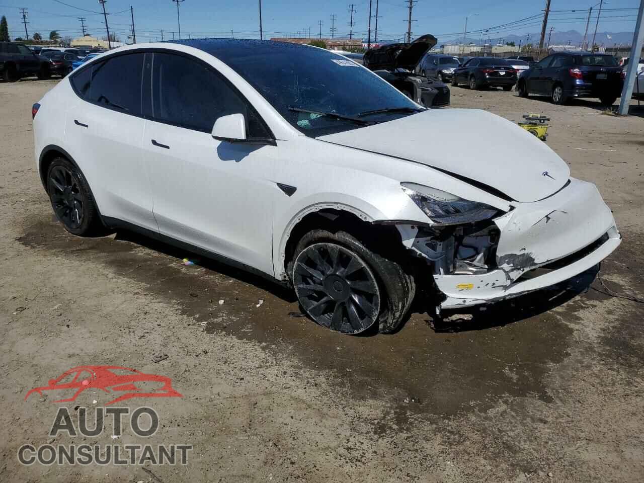 TESLA MODEL Y 2022 - 7SAYGDEEXNF455766