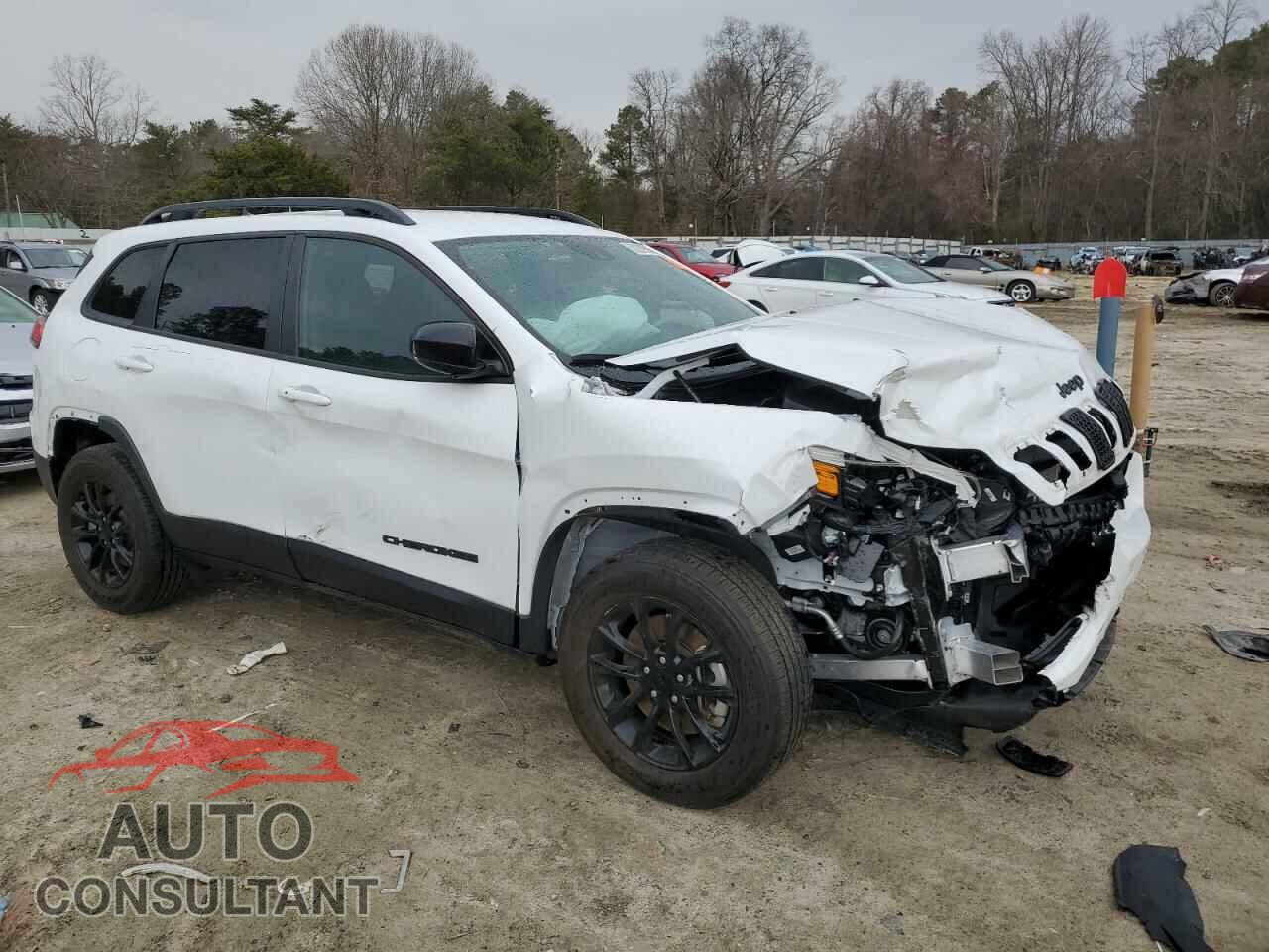 JEEP CHEROKEE A 2023 - 1C4PJMMB2PD109027
