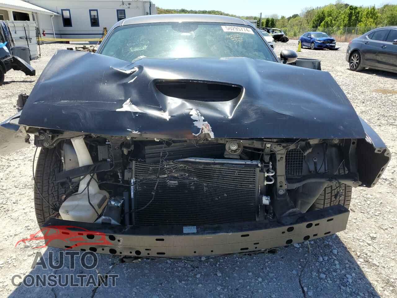 DODGE CHALLENGER 2019 - 2C3CDZBTXKH583242