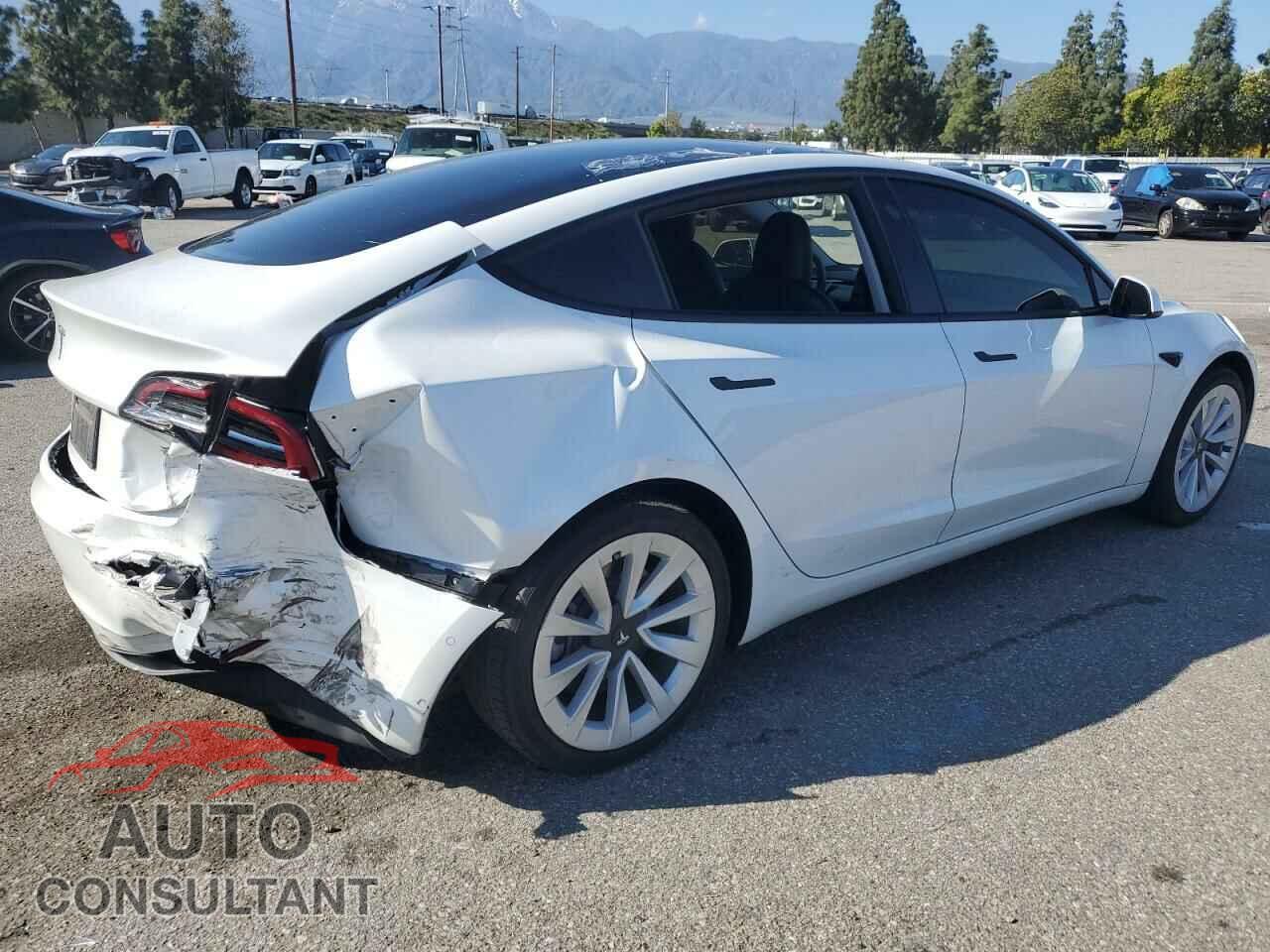 TESLA MODEL 3 2021 - 5YJ3E1EA0MF029933