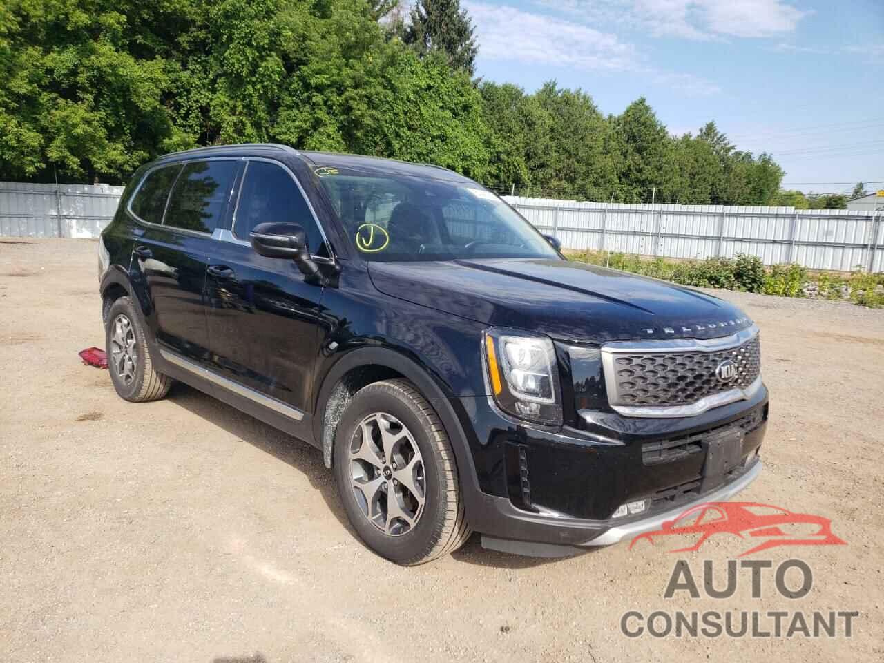 KIA TELLURIDE 2020 - 5XYP3DHCXLG080997