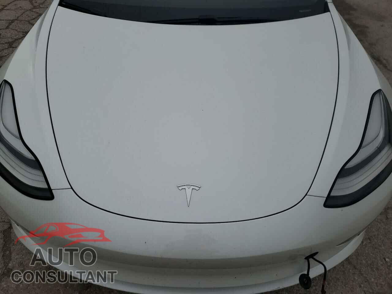 TESLA MODEL 3 2019 - 5YJ3E1EB2KF493621