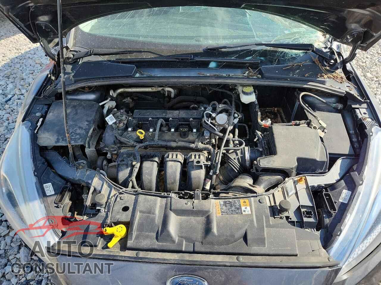 FORD FOCUS 2017 - 1FADP3F20HL237904