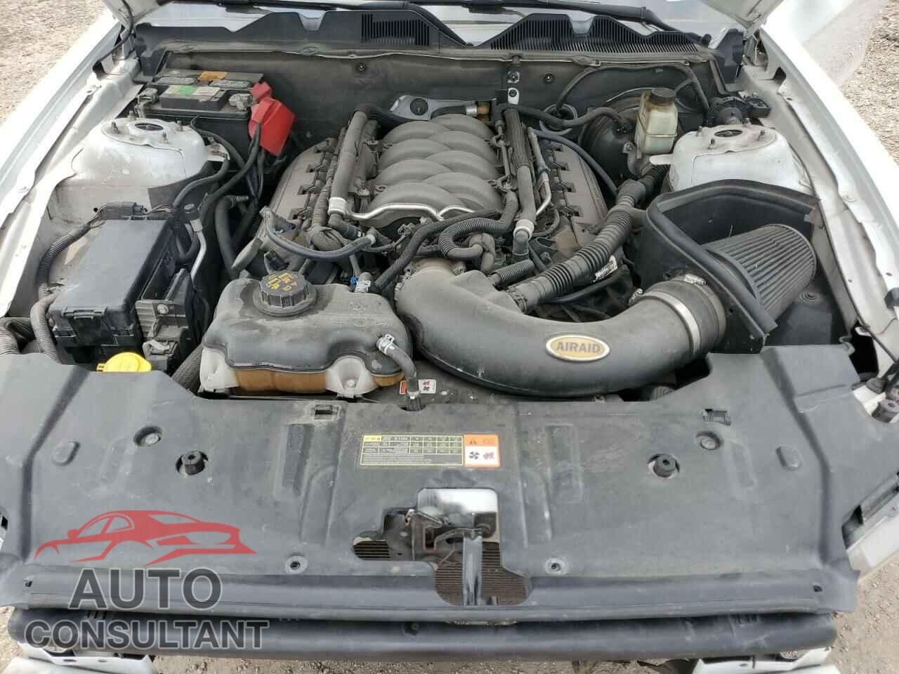 FORD MUSTANG 2014 - 1ZVBP8CF0E5326584