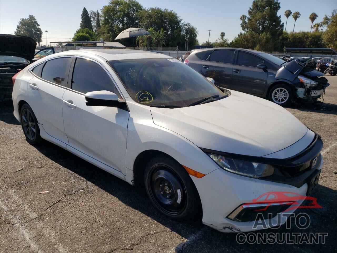 HONDA CIVIC 2019 - JHMFC1F37KX008825