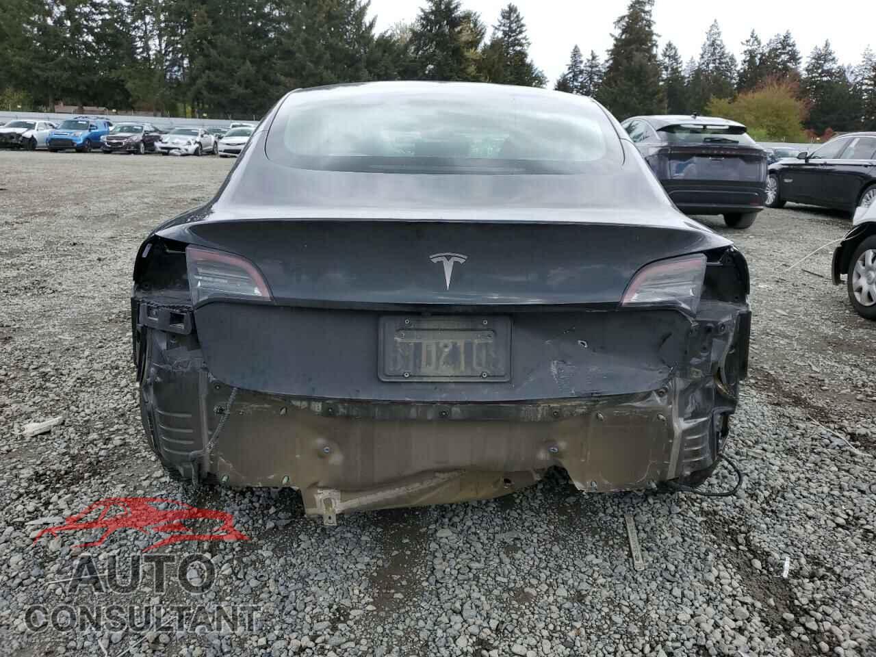 TESLA MODEL 3 2019 - 5YJ3E1EA8KF331063