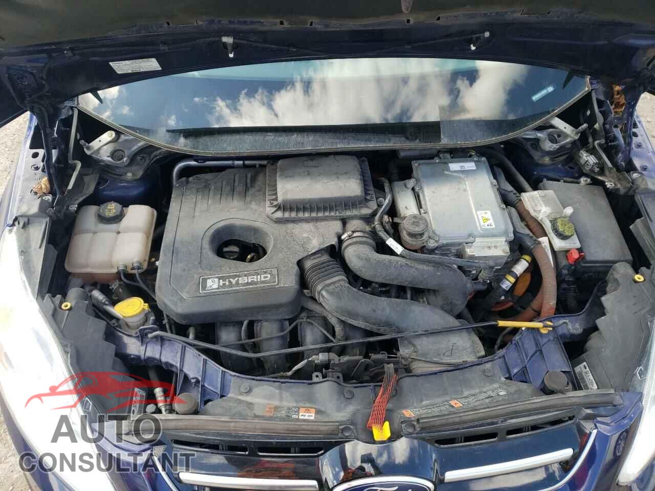FORD CMAX 2016 - 1FADP5BU3GL100201
