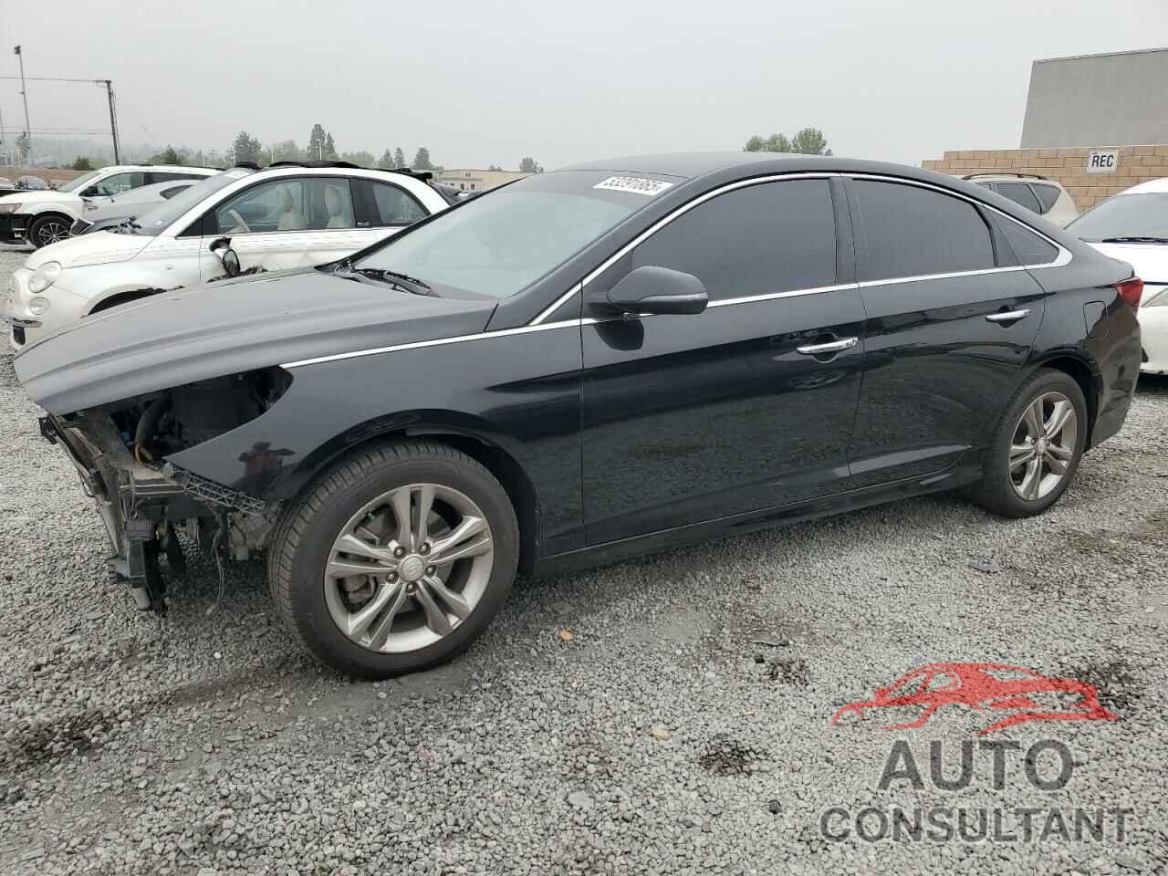 HYUNDAI SONATA 2019 - 5NPE34AF8KH796235
