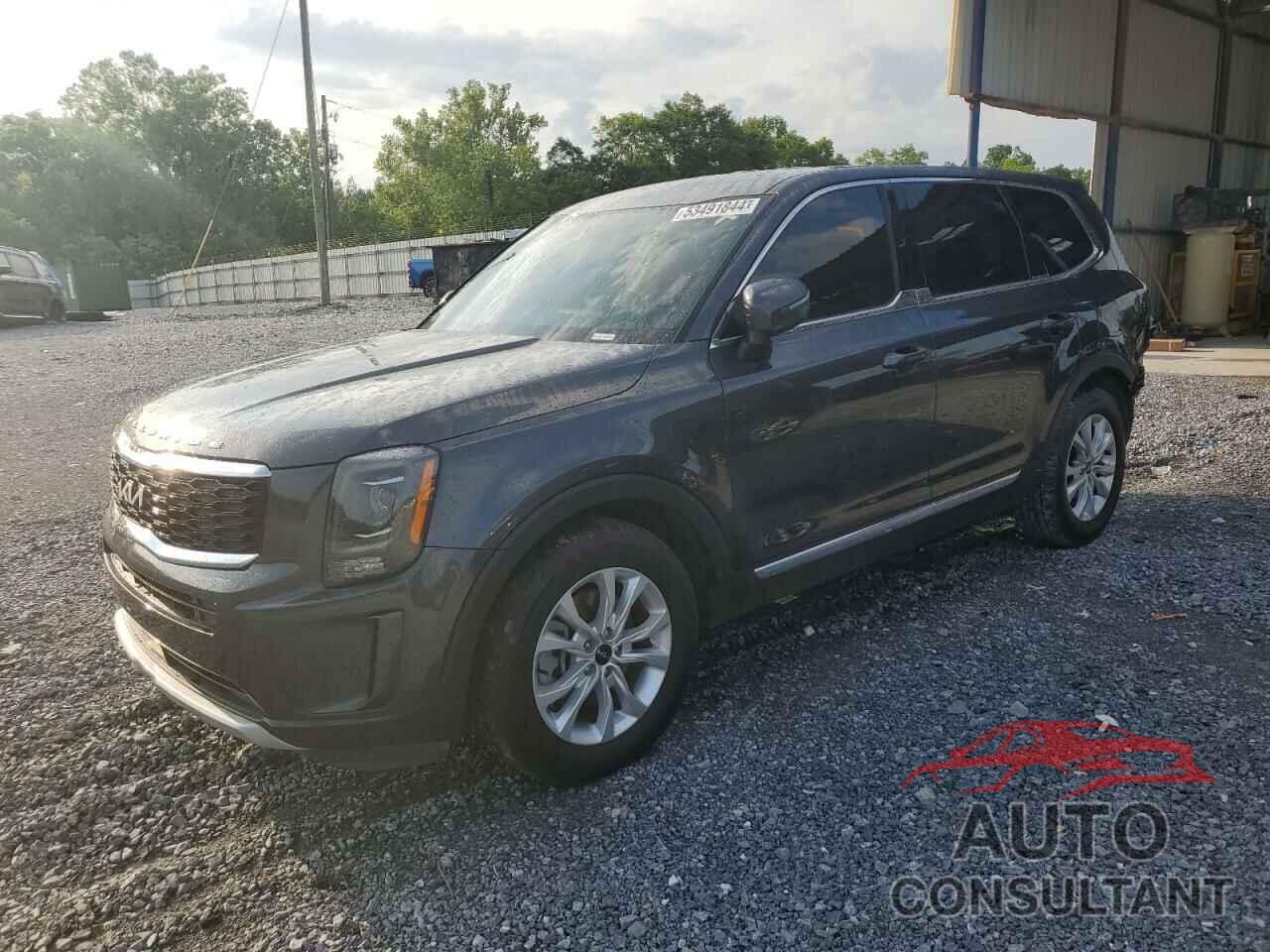 KIA TELLURIDE 2022 - 5XYP2DHC0NG242285