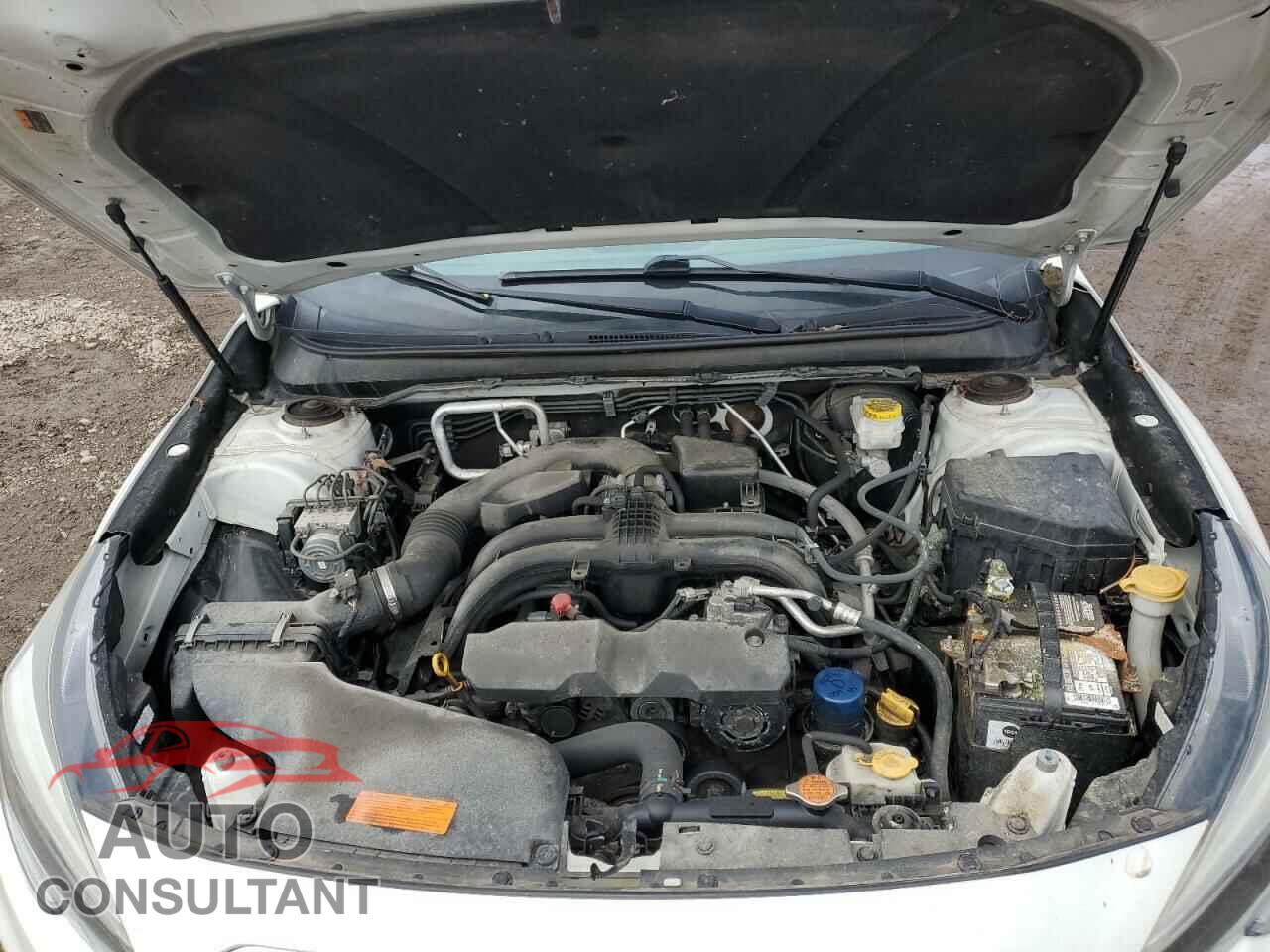 SUBARU OUTBACK 2019 - 4S4BSAFC3K3216013