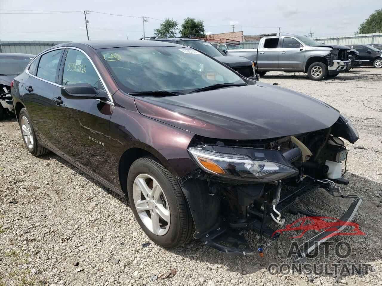 CHEVROLET MALIBU 2021 - 1G1ZB5ST7MF050654