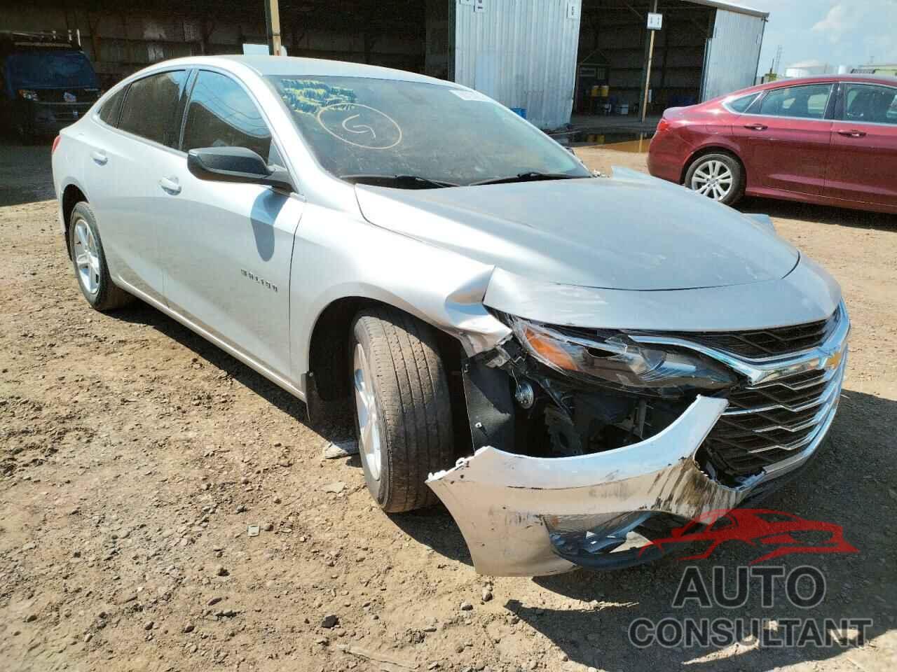 CHEVROLET MALIBU 2019 - 1G1ZB5ST2KF193895