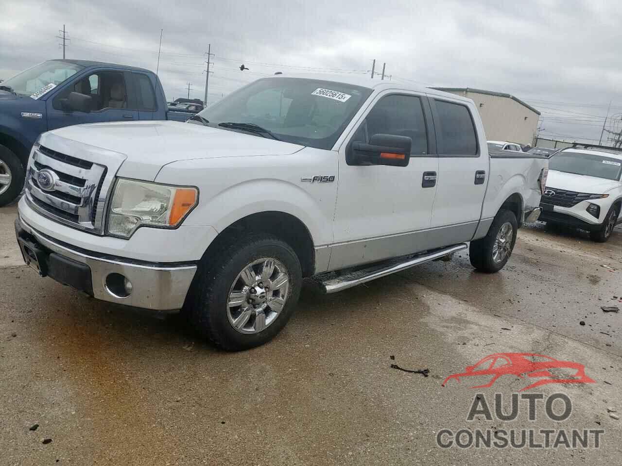 FORD F-150 2010 - 1FTEW1C8XAFC96980