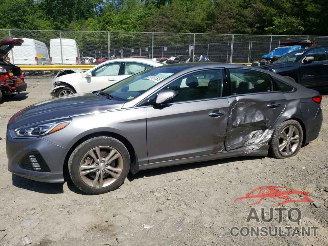 HYUNDAI SONATA 2019 - 5NPE34AF1KH793788