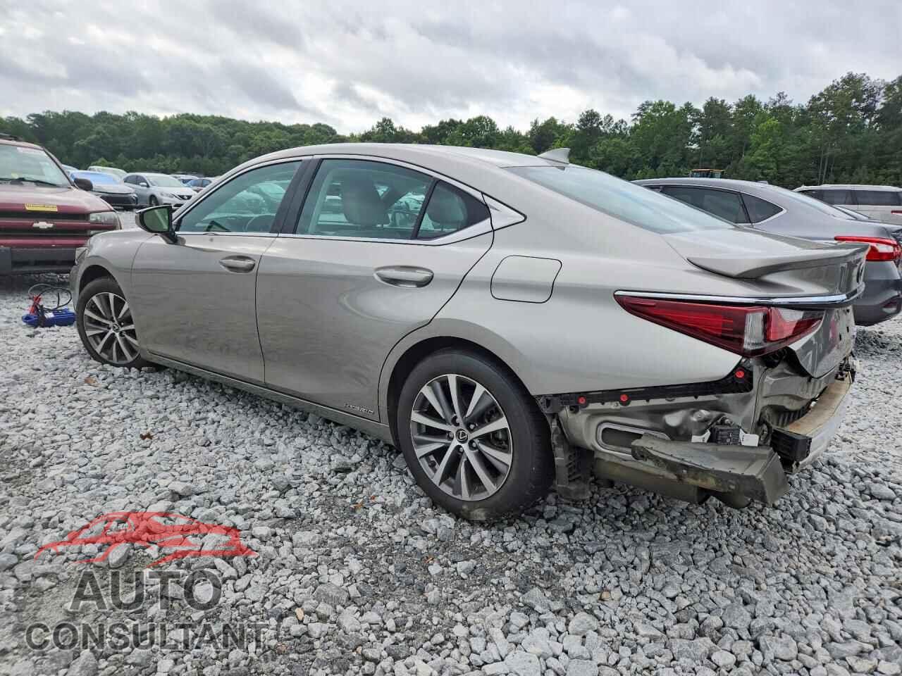 LEXUS ES300 2021 - 58ADA1C19MU004060