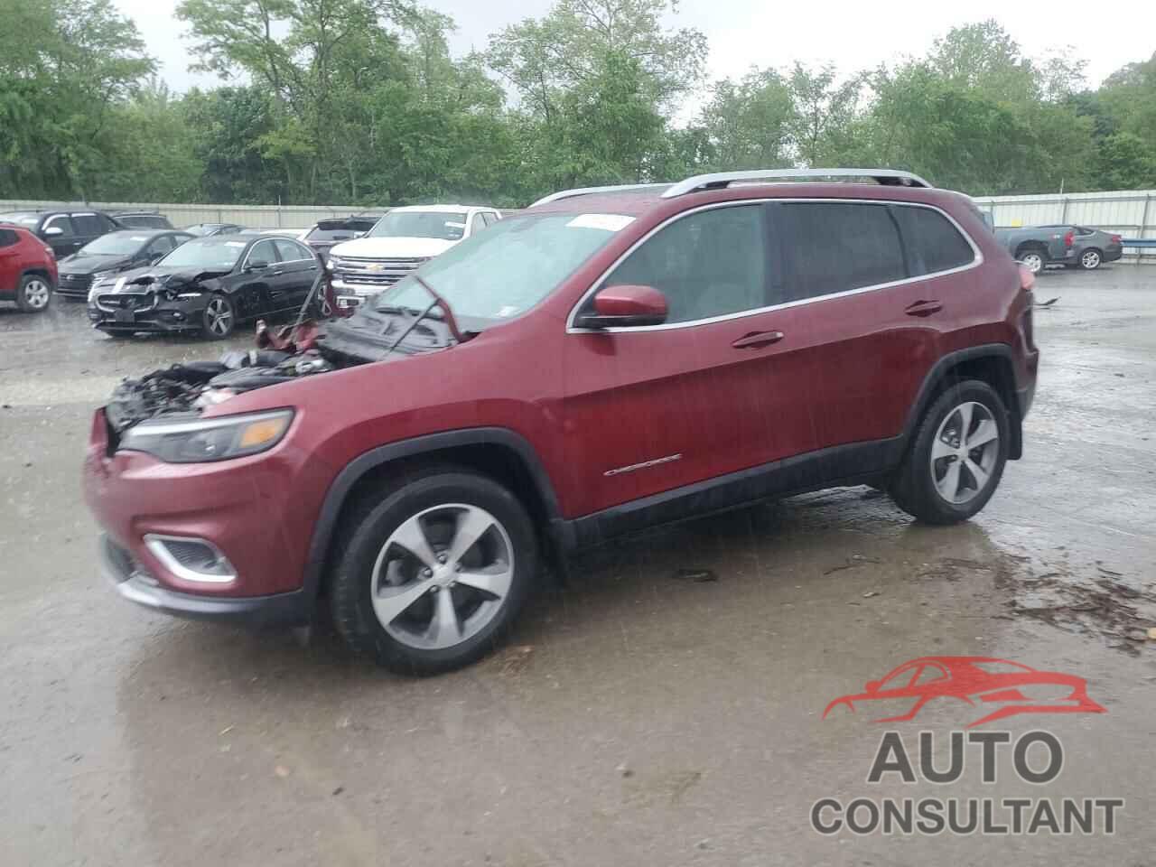 JEEP GRAND CHER 2019 - 1C4PJMDX1KD155873