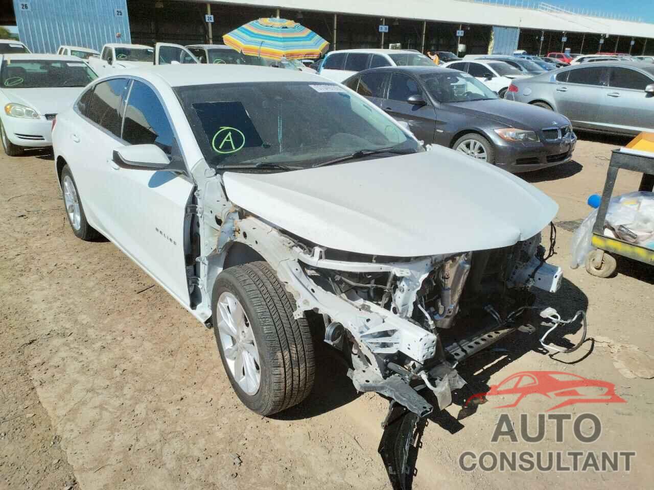CHEVROLET MALIBU 2019 - 1G1ZD5STXKF226054
