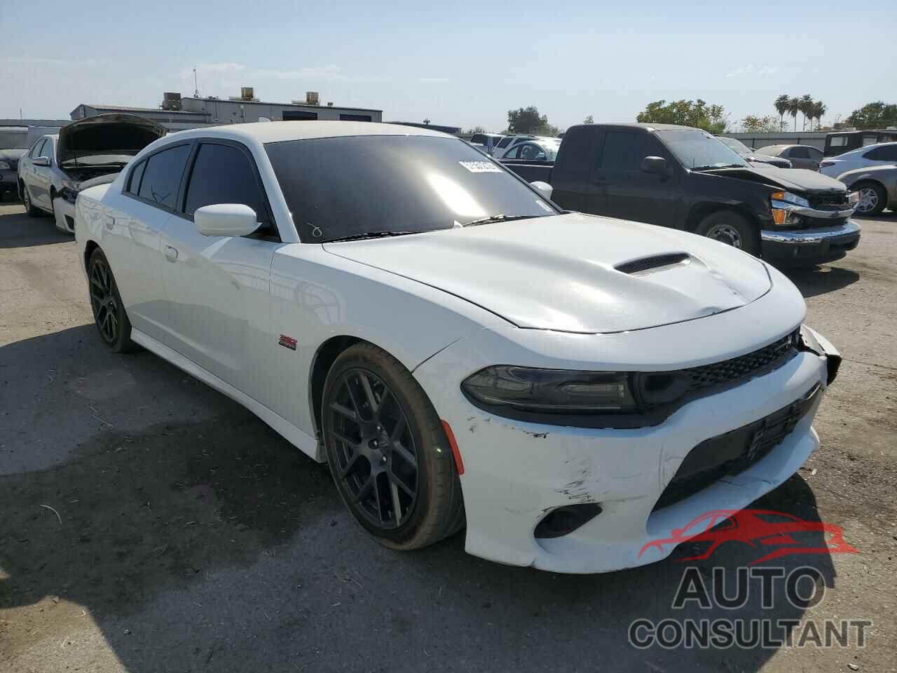 DODGE CHARGER 2019 - 2C3CDXGJ3KH564205