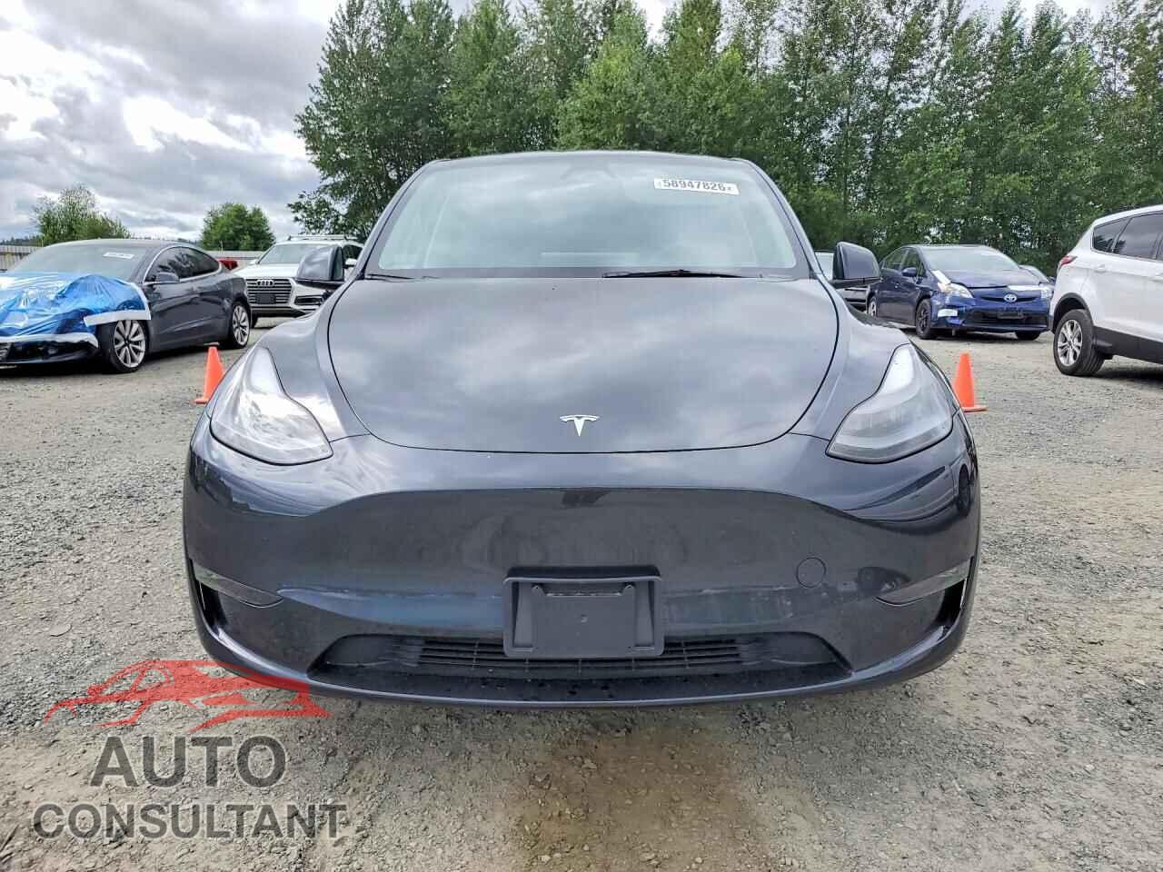 TESLA MODEL Y 2024 - 7SAYGDEEXRF014144
