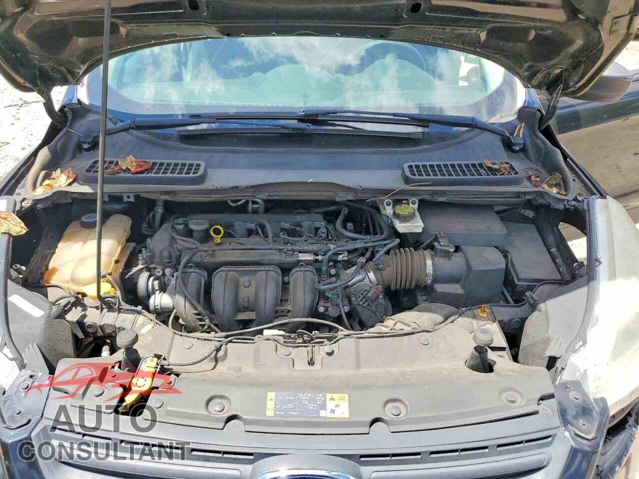FORD ESCAPE 2013 - 1FMCU0F72DUC01026