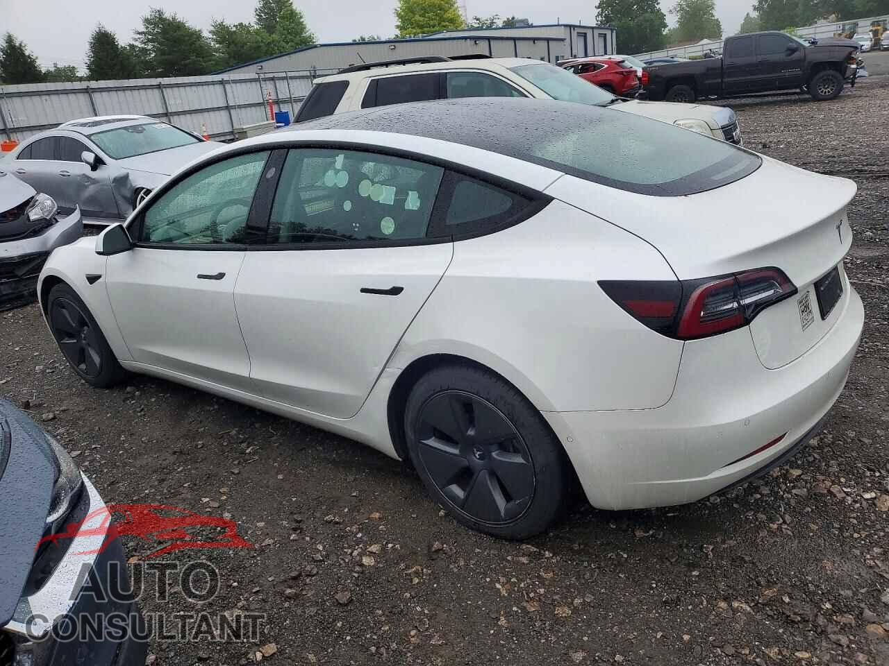 TESLA MODEL 3 2021 - 5YJ3E1EA0MF059076