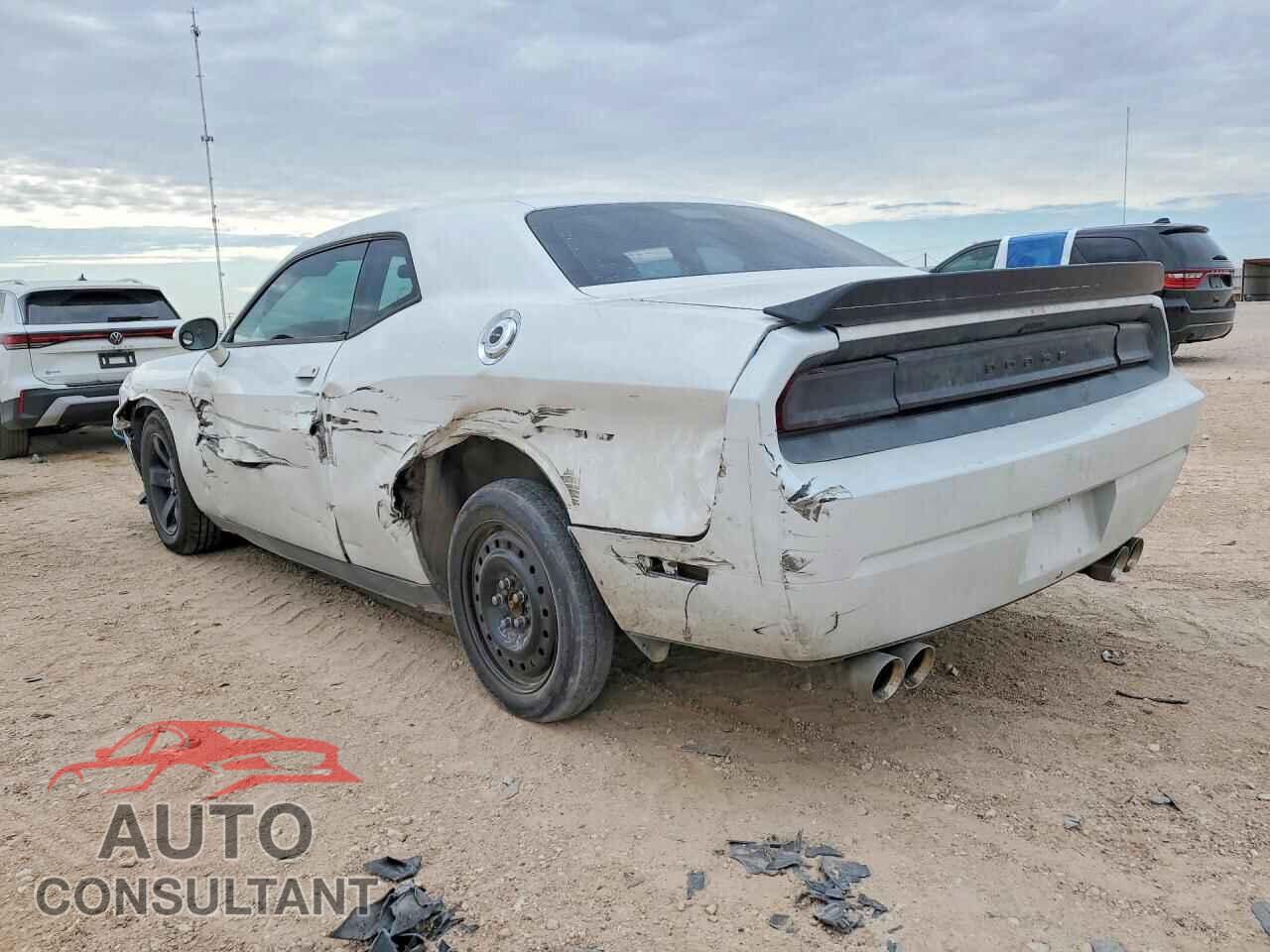 DODGE CHALLENGER 2014 - 2C3CDYAG8EH250301