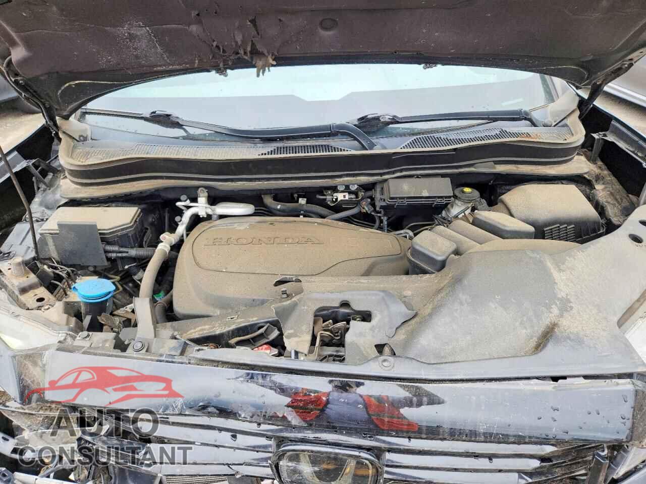 HONDA RIDGELINE 2022 - 5FPYK3F83NB036146